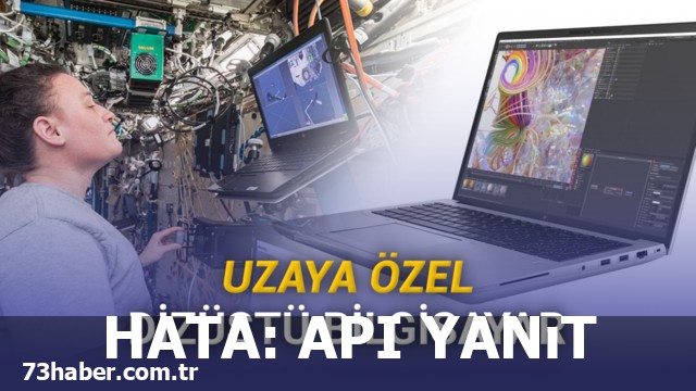 HATA: API Yanıt Vermedi (401)