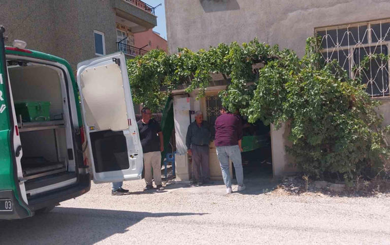 Mersin’de bir şizofren genç, annesini bıçak darbeleriyle hayattan kopardı