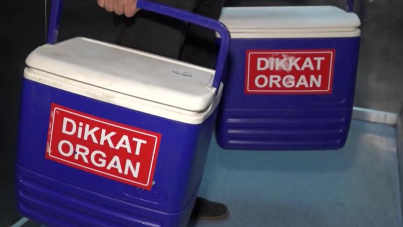 Organ Bağışı Artık Tek Tık Uzakta: e-Devlet ve e-Nabız’dan Saniyelerde Bağışçı Olun!
