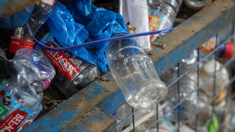  170 Ülkeden Fazla ‘Plastik Krizi’ni Duyuruşmak İçin Toplanıyor