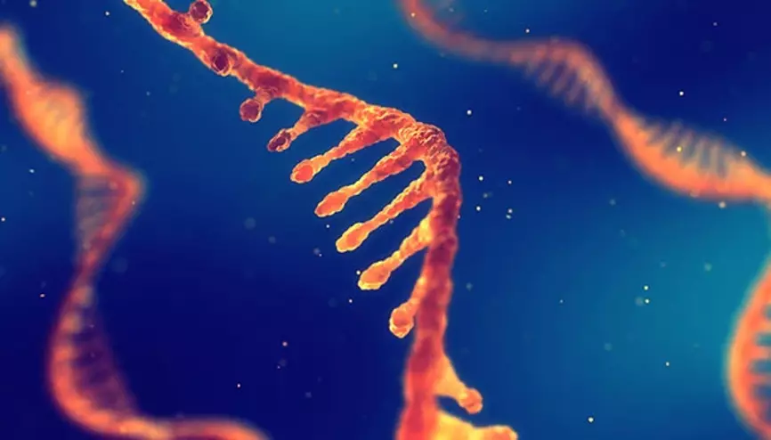 “ABD, mRNA Aşı Projelerini Yolunda Getirdi”