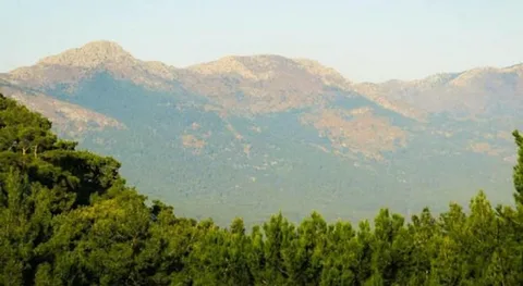  Rüyada Dağa Çıkmanın Sembolik Yorumu ve Anlamı