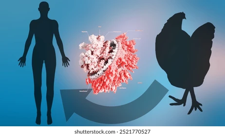 Sessiz Tehdit Büyüyor: Kuş Gribi İnsanlara Yayılabilir