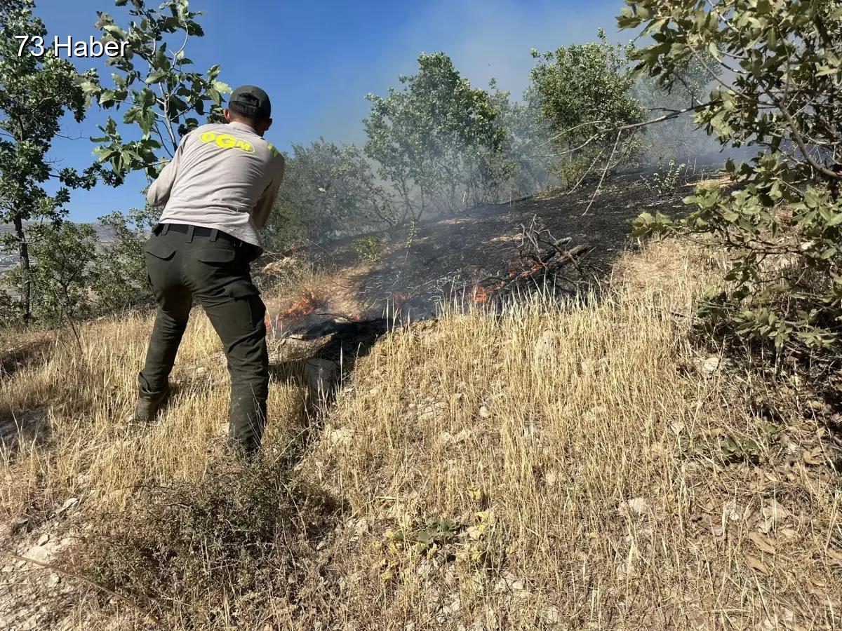 Şırnak'ta Şırnak Cudi Dağı'ndaki Yangın 4 Saatte Kontrol Altına Alındı.