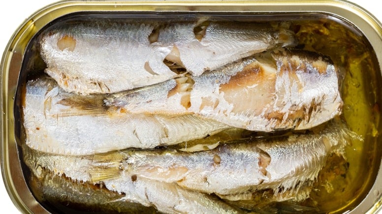 D Vitamini ve Omega-3 Arayışı: Levrek ve Çipurayı Geçen O Balık Kimdir?