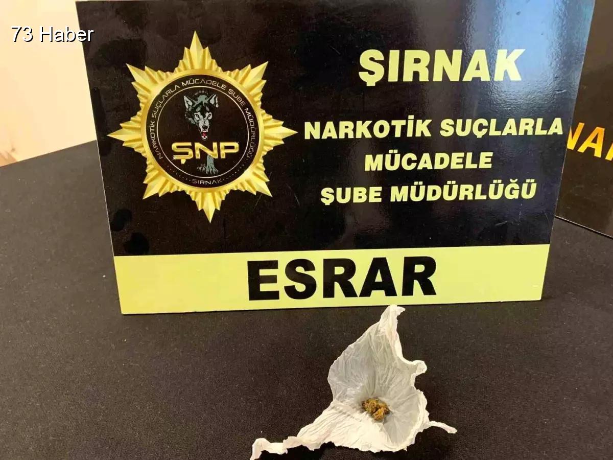 Şırnak'ta kaçakçılık operasyonları: 15 milyon TL değerinde malzeme ele geçirildi.