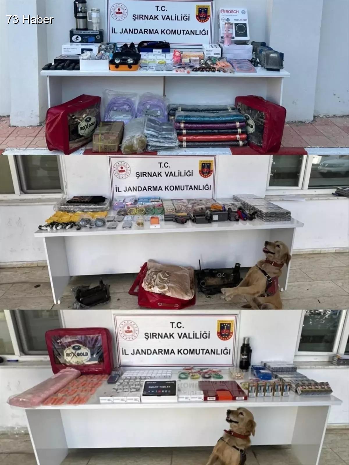 Şırnak'ta Kaçakçılara Darbe: Operasyonda 91 Gözaltı