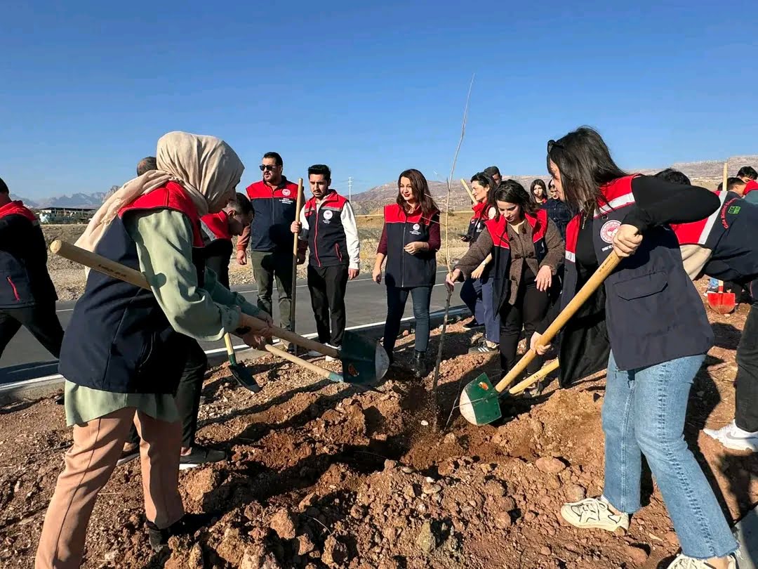 Cizre'ye giden yolda çevre düzenlemesi: Refüjlere fidanlar dikildi.