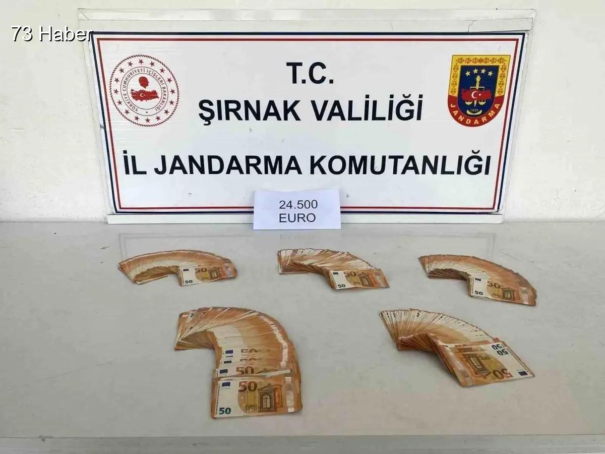 Şırnak'ta Şırnak&amp;apos;ta jandarmadan kaçakçılığa büyük darbe