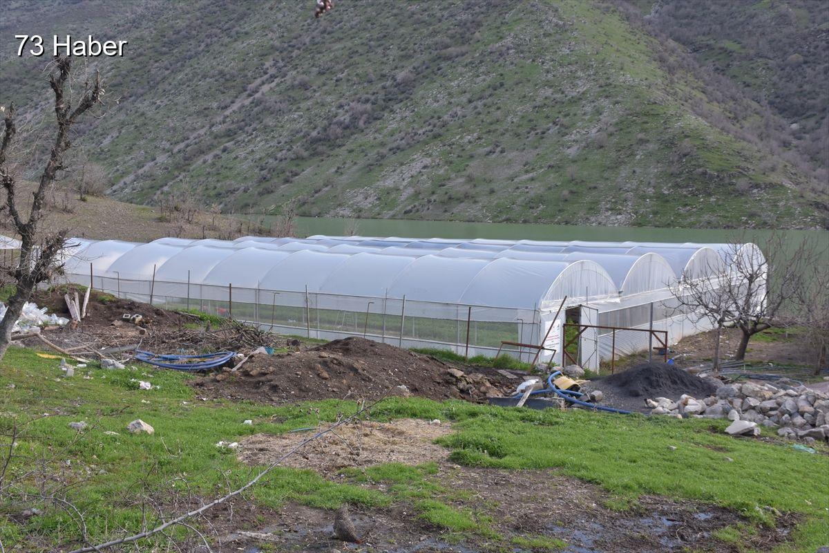 Şırnak'ın Uludere ilçesinde Devlet desteğiyle kurduğu sera sayesinde 7 kişilik...