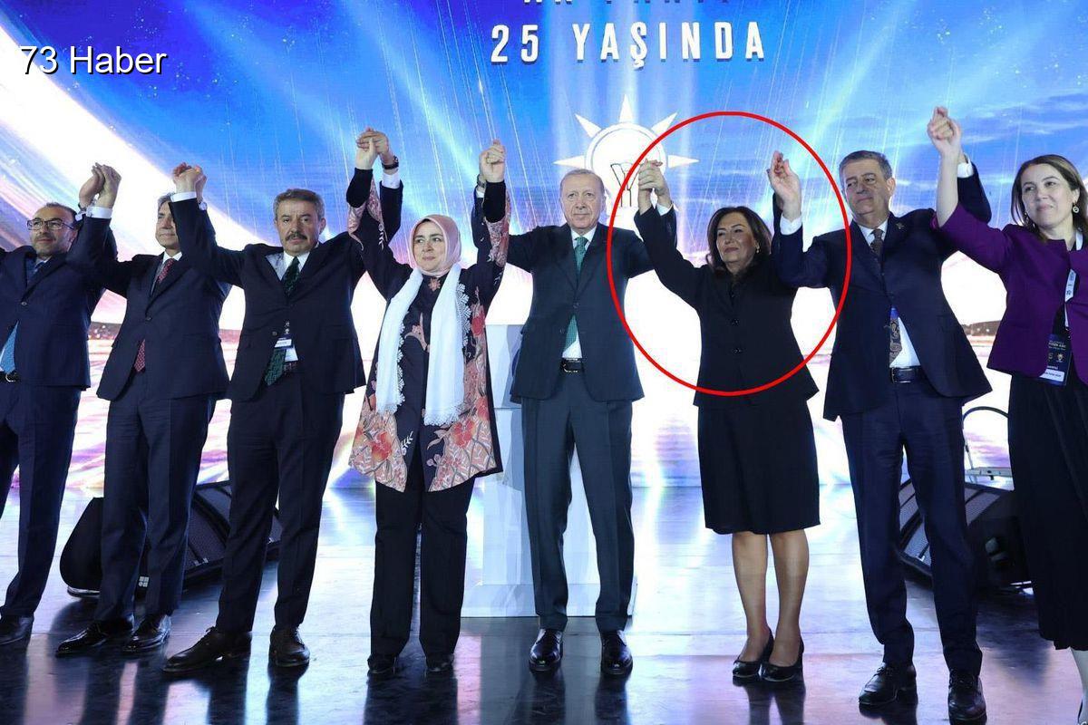 Şırnak'ın İdil ilçesinde Türkan Kayır kimdir, hangi partiden? nereli, kökeni...