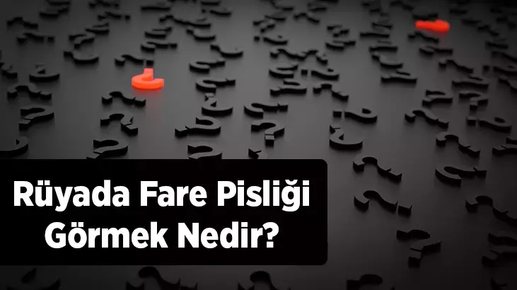 Rüyada Fare Pisliği Görmek: Gizli Tehlikeler ve Maddi Kayıpların İşareti mi?