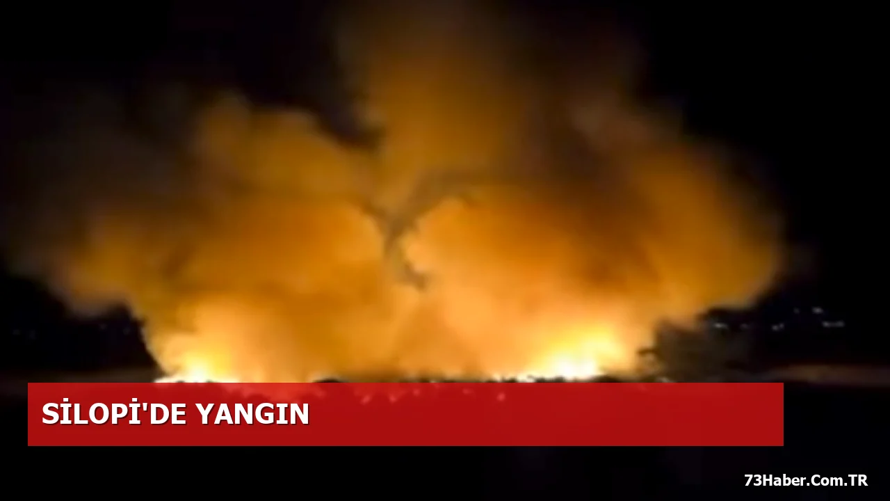 Silopi'de Kasıtlı Yangın İddiası