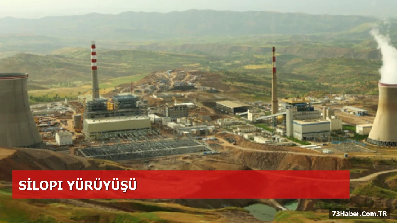 Silopi’de Termik Santral’e Karşı Yürüyüş Düzenlendi
