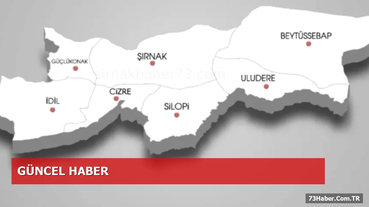 Yılmaz'ın Tutuklanması: Şırnak'ta Adli Süreç Devam Ediyor