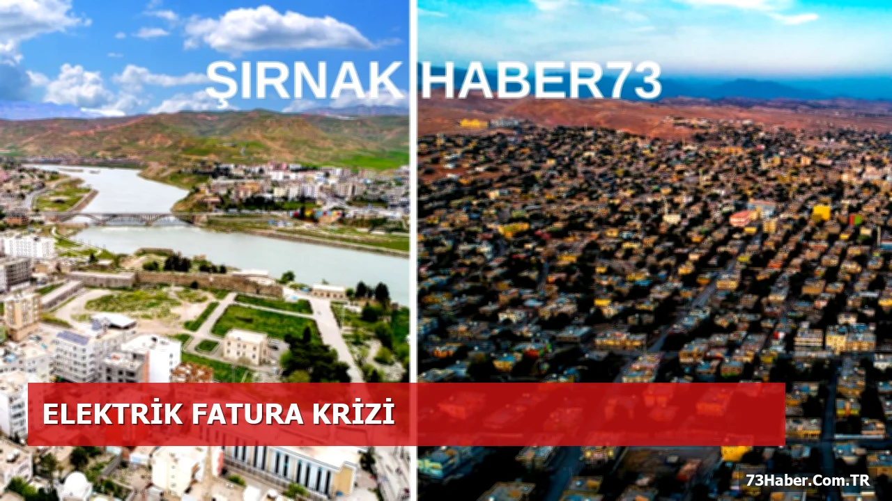 Silopi’de Yüksek Elektrik Faturalarına Karşı STK ve Mühendislerin Ortak Talebi