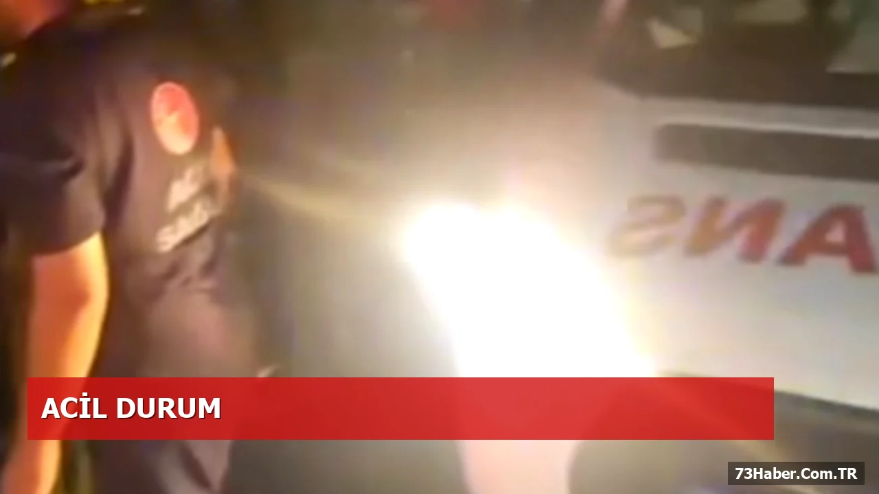 Şırnak’ta Okçu Köyü’nde Trafik Kazası: 1’i Çocuk 4 Yaralı