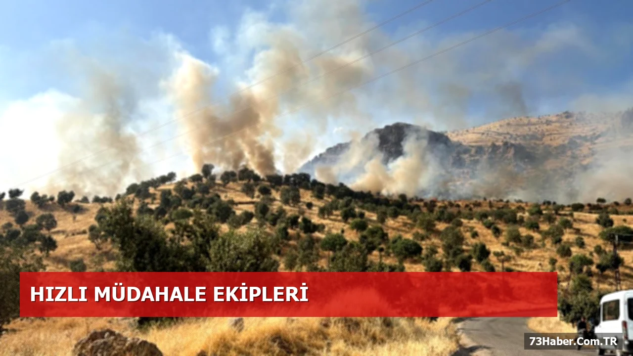 Şırnak Silopi'de Çalışkan Beldesi'nde Yangın: 3 Asker Yaralandı