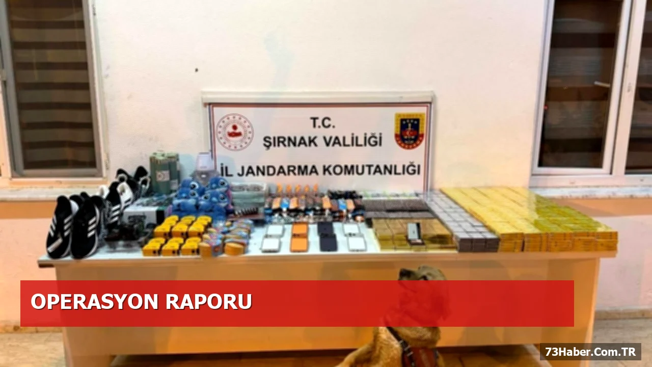 Şırnak’ta Kaçakçılık Operasyonu Sonuçlandı: 196 Şüpheliye Yasal İşlem
