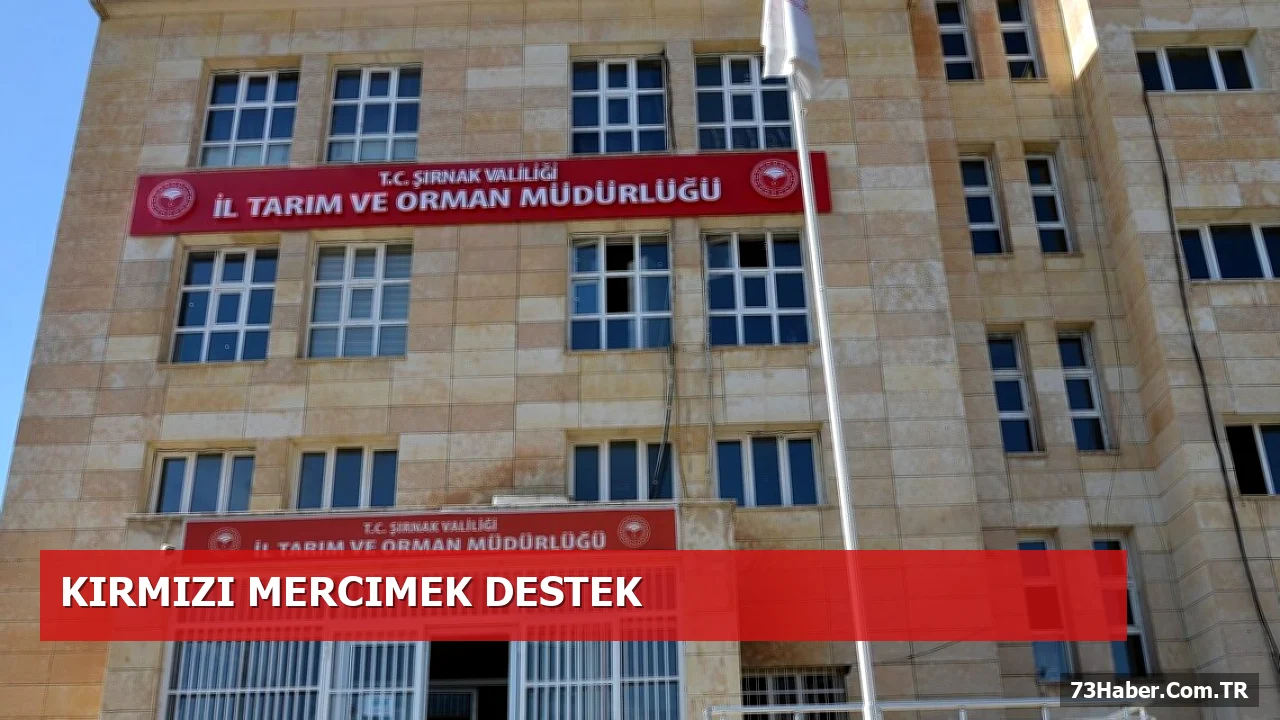 Şırnak'ta Kırmızı Mercimek Tohumu Desteği Başladı