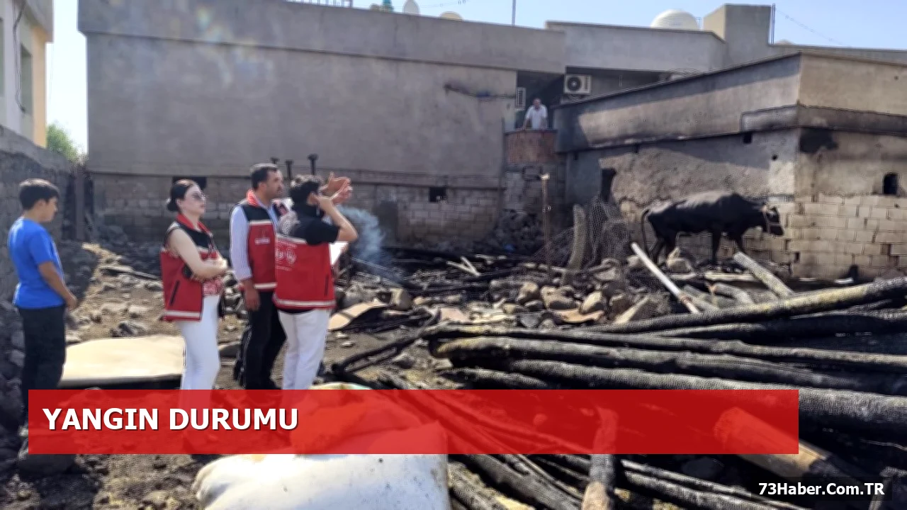 İdil'de Yangın Felaketi: SHM Ekipleri Ailelerin Yanında