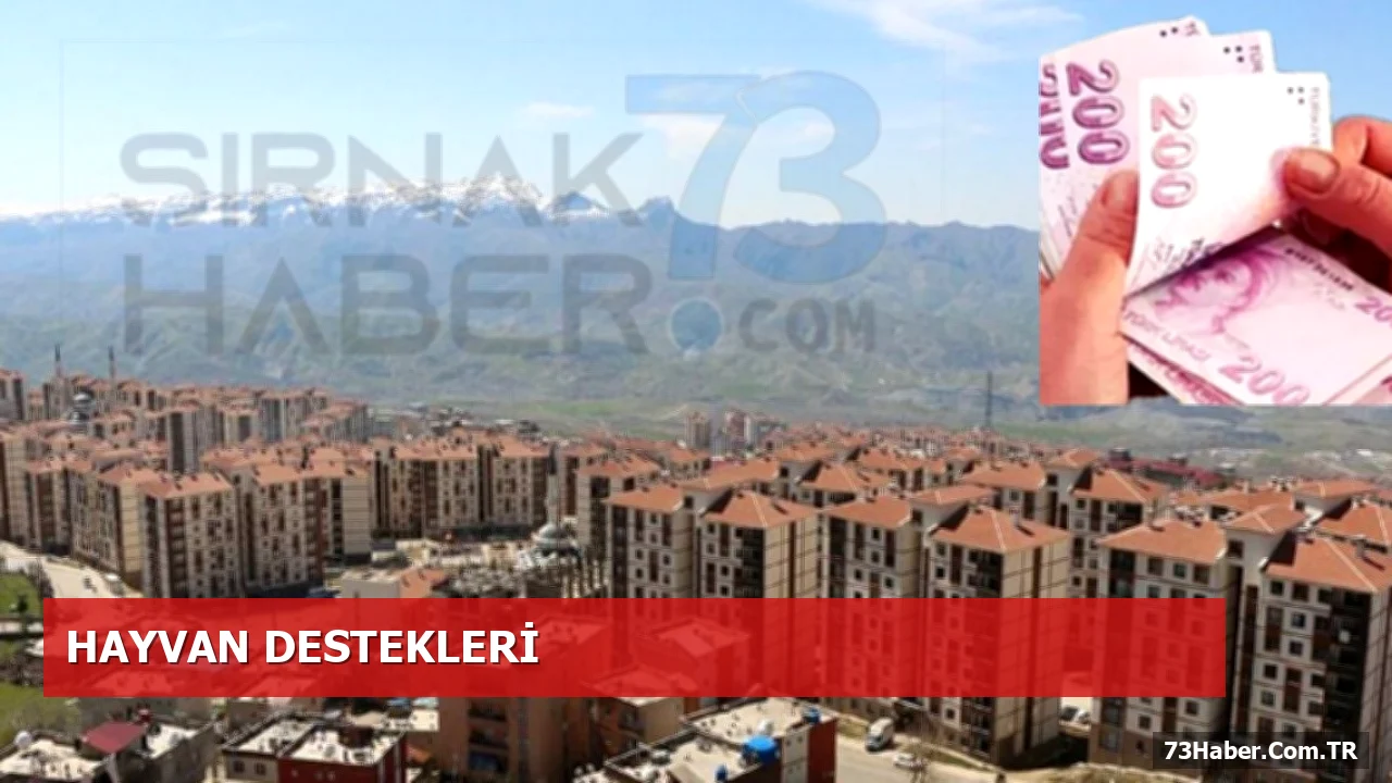 Şırnaklı Çiftçilere 2026 Büyükbaş Hayvancılık Desteklerinde Büyük Artış