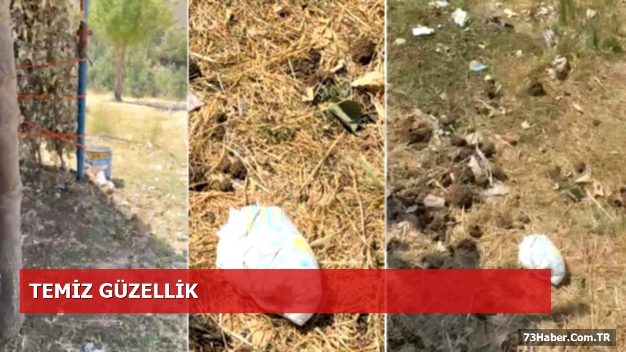 Namaz Dağı'nda Çevre Kirliliği Tartışması