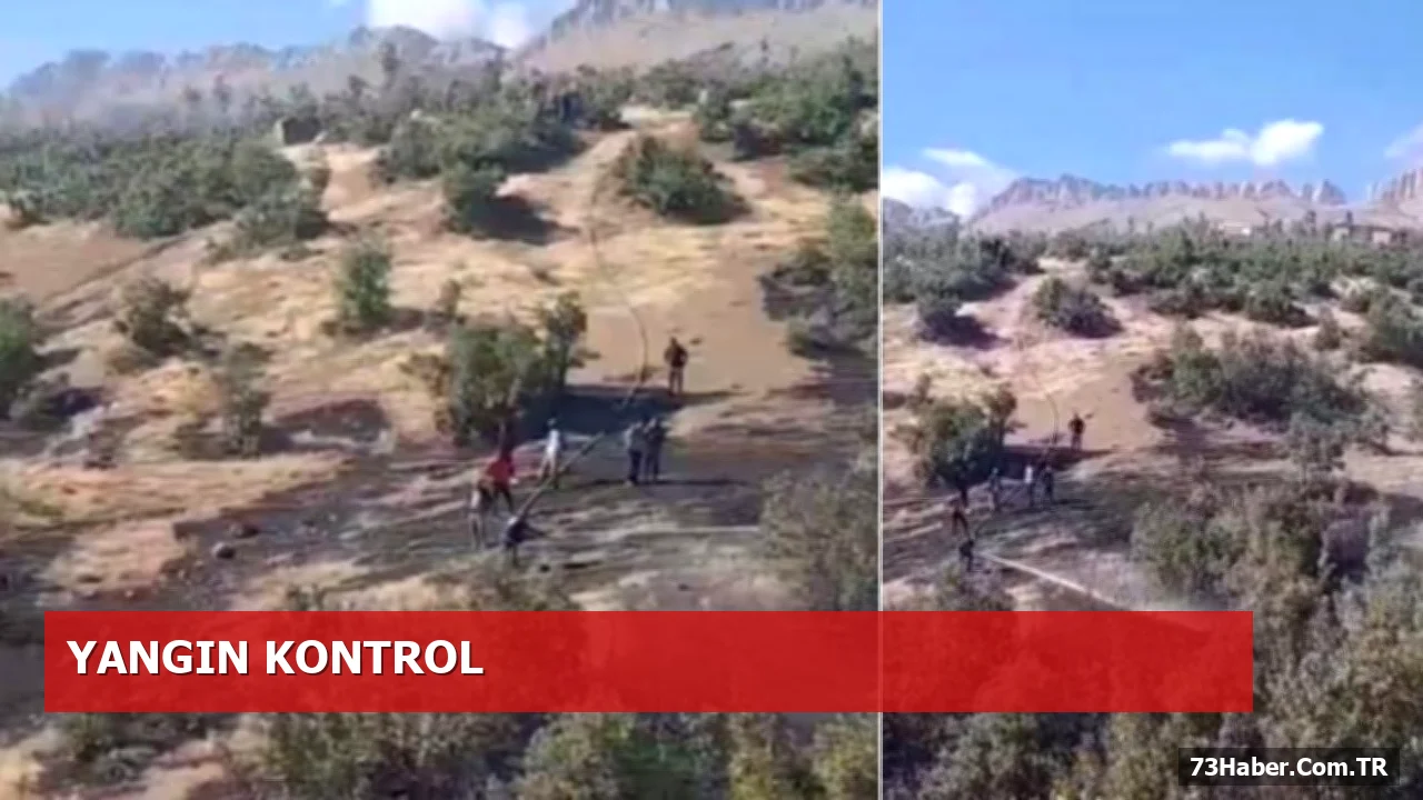 Şırnak’ta Koyunoba’da Orman Yangını: Ekipler Müdahalede