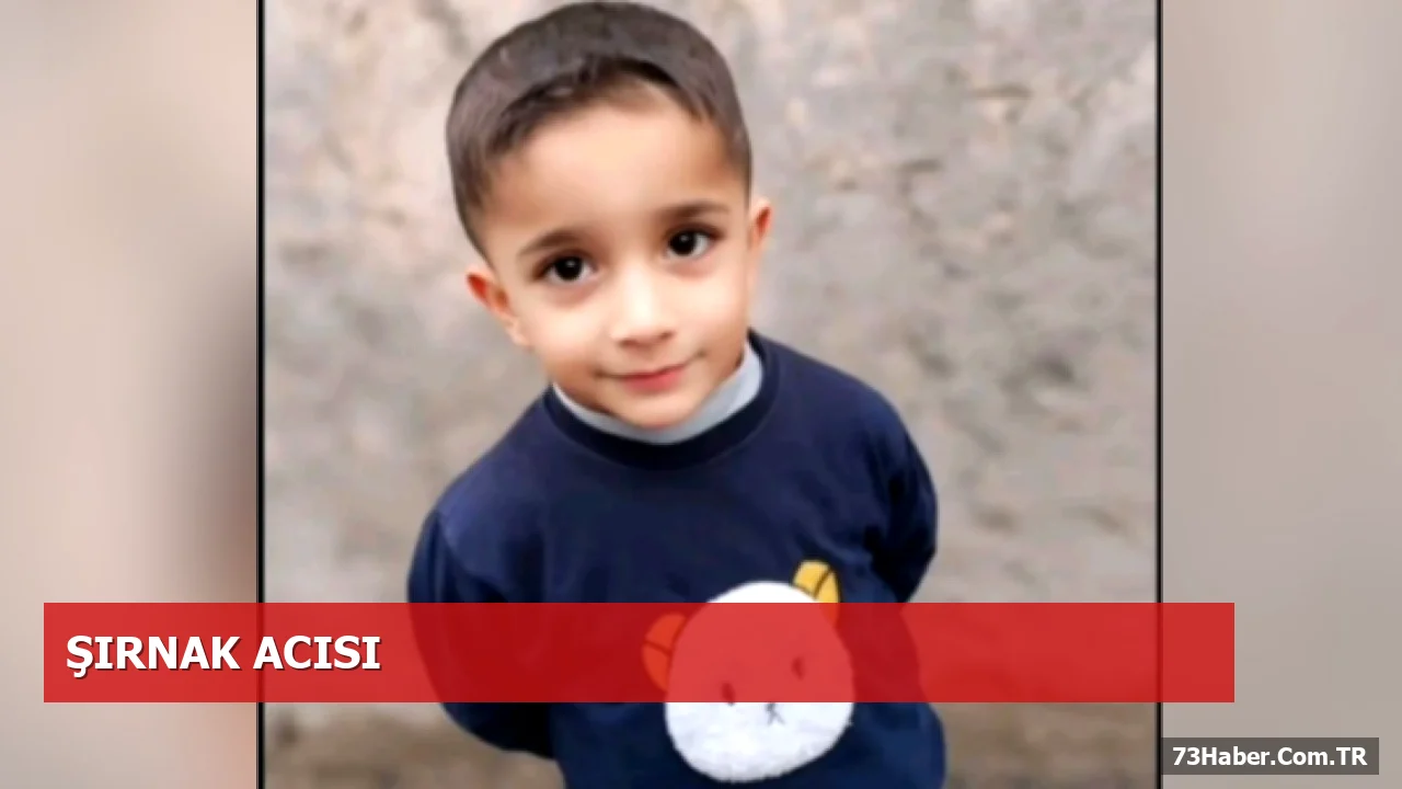 Beyin sapı tümörüyle mücadele eden Şırnaklı çocuk vefat etti
