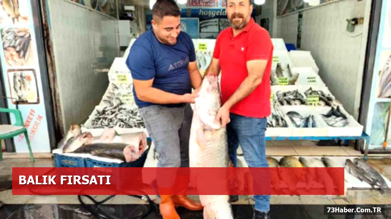 Cizre’de 69 Kilo Turna Balığı Tezgâhı Şaşkınlık Yarattı
