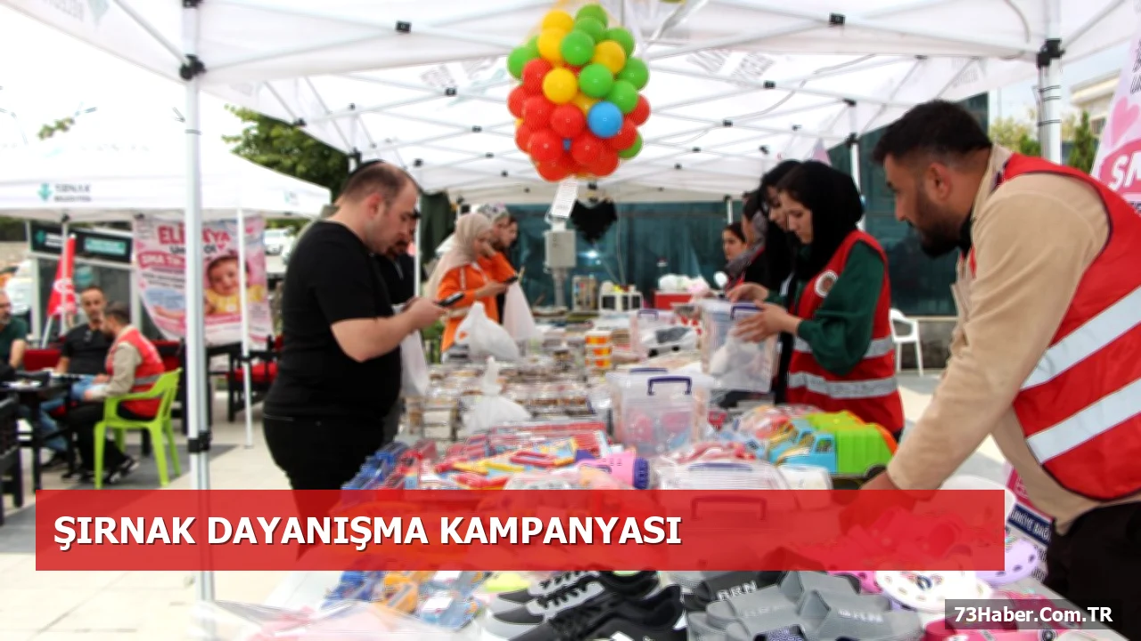 Şırnak'ta 9 Aylık Elisa'nın SMA Tedavisi İçin Yardım Kampanyası
