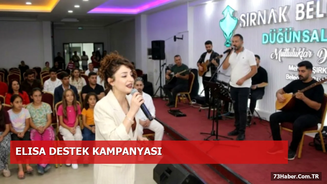 Şırnak’ta Elisa’nın Tedavisi İçin Dayanışma Konseri