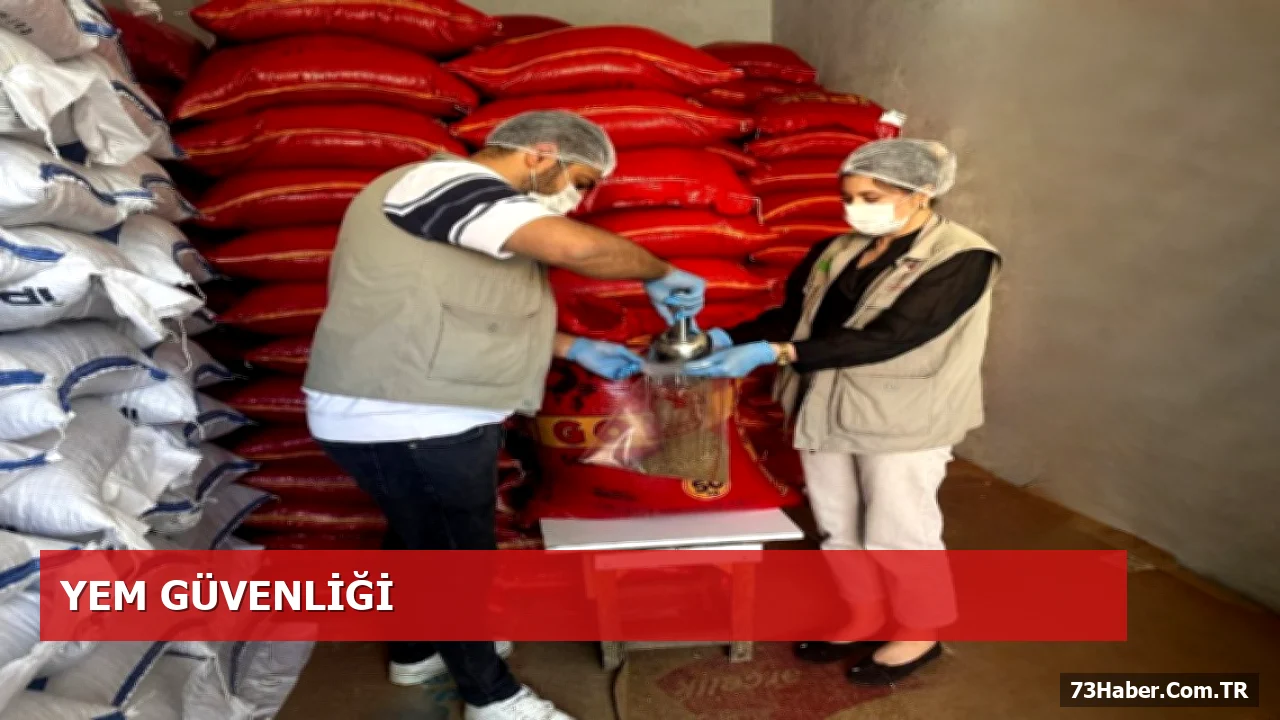 Şırnak’ta Yem Denetimleri Sürüyor: 2026 Planı Kapsamında Numune Alındı
