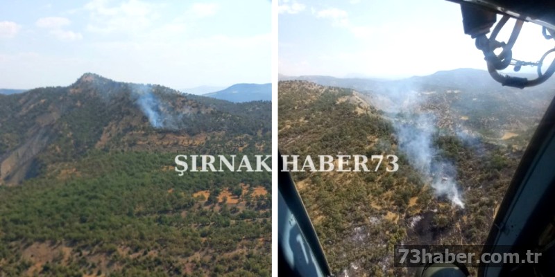 Şırnak Orman Yangını Artık Tehdit Oluşturmuyor