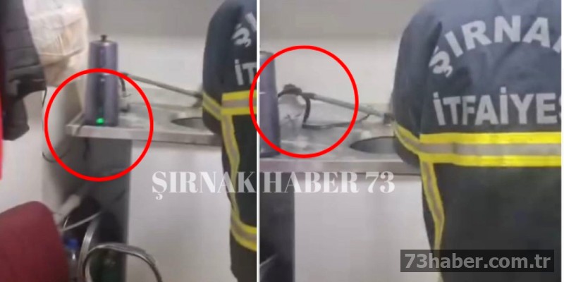 Şırnak'ta Dükkana Sürünen Misafir: 1 Metrelik Yılan!