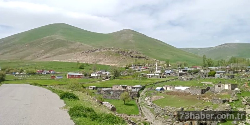 Şırnak'ta Silahlı Saldırı: Bir Kişi Yaralandı