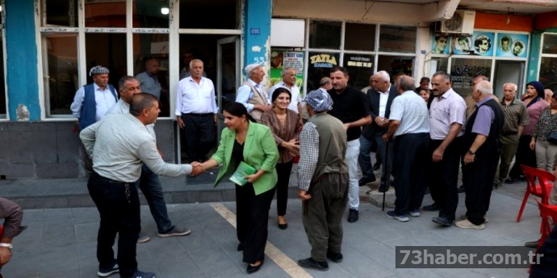 Şırnak'ta Ağaç Katliamına Dur Deme Yürüyüşü Başlıyor!