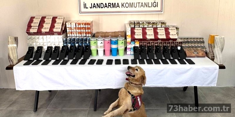 Şırnak'ta Dev Kaçakçılık Operasyonu: 70 Gözaltı