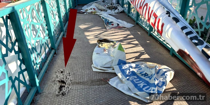 Şırnak'ta Kullanılacak Başka Yer Yok: Tek Tuvalet İçler Acısı!