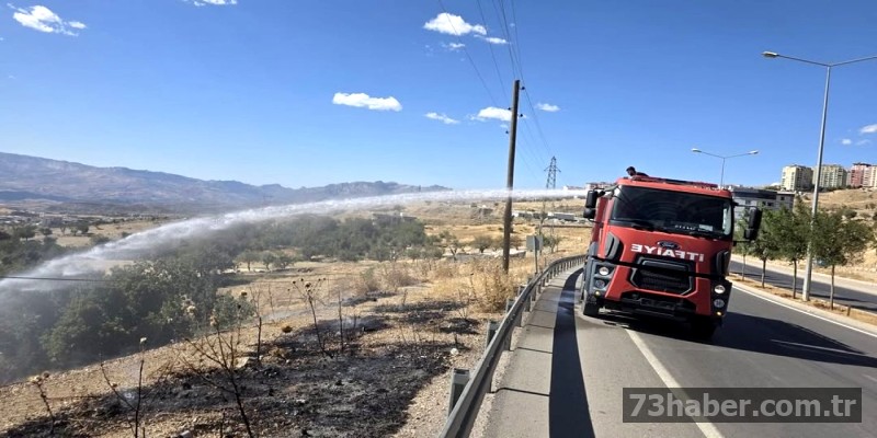 Şırnak'ta Dağlık Arazideki Yangın Kontrol Altında