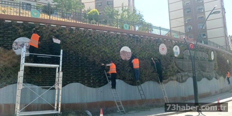 Şırnak'a Yepyeni Bir Görünüm: Refüjler ve Bahçeler Yenileniyor