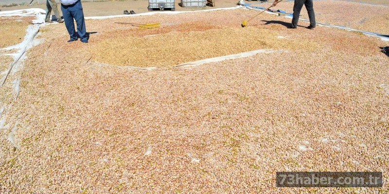 Güneydoğu Alarm Veriyor: Yeni Düzenleme Üreticileri Zor Duruma Sokacak!