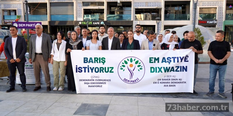 DEM Parti'den Şırnak'ta Barış İmza Kampanyası