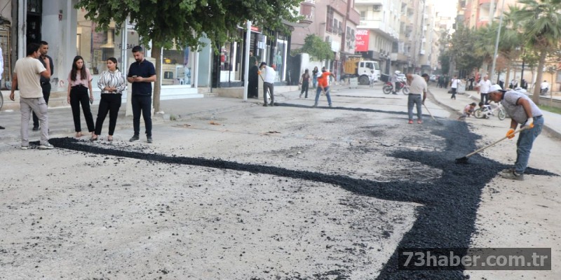 Cizre'de Doğalgaz Sonrası Asfaltlama Hamlesi Başladı