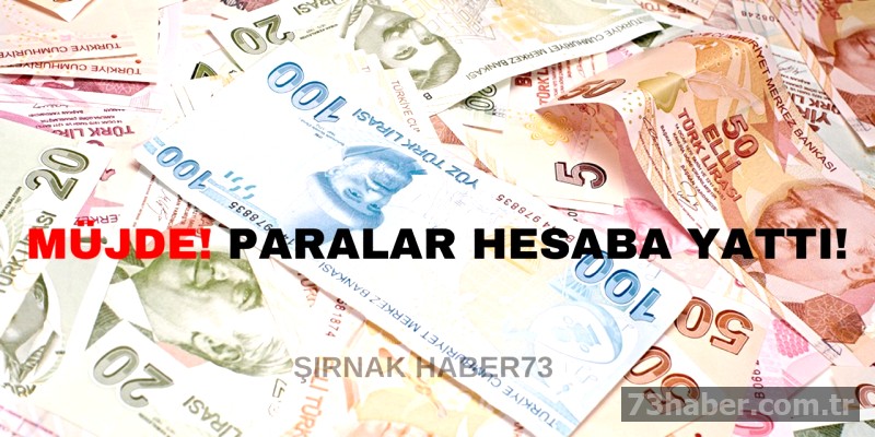 Annelere Müjde: Aile Bakanlığı'ndan Destek Ödemesi Yatırıldı!