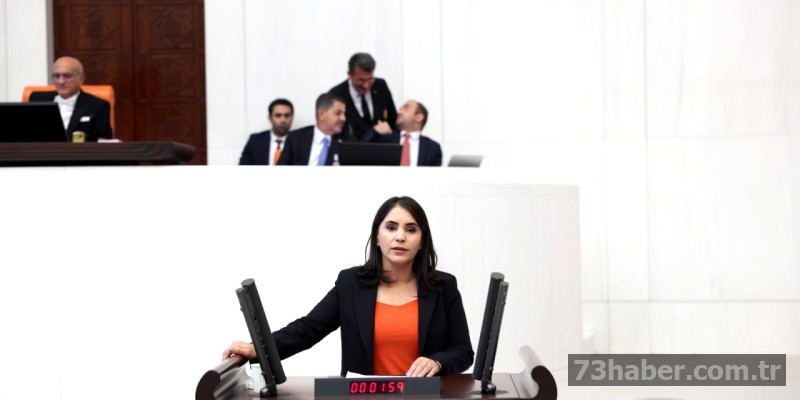 Meclis, Şırnak'ın Sesine Kulak Verdi.