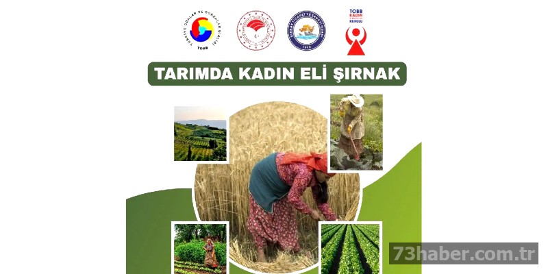 Şırnaklı Kadınlar Tarımda Güçlerini Birleştiriyor: Üretim Atağı Başladı