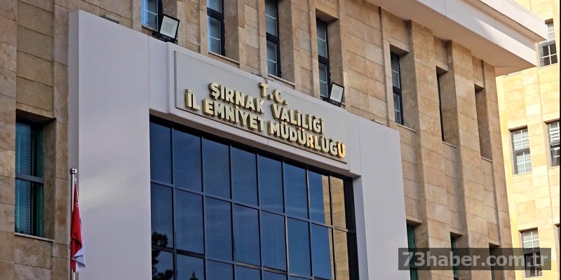 Şırnak'ta kaçak mal ele geçirildi, olayla ilgili 2 şüpheli cezaevine gönderildi.