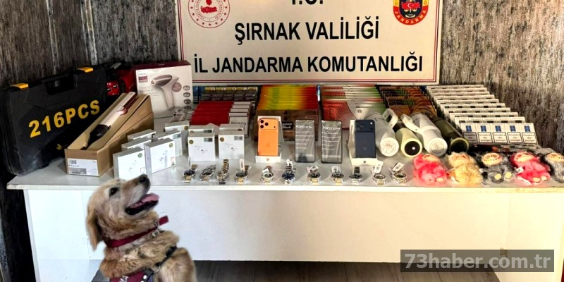 Şırnak'ta Kaçak Operasyonu: Milyonluk Vurgun Engellendi