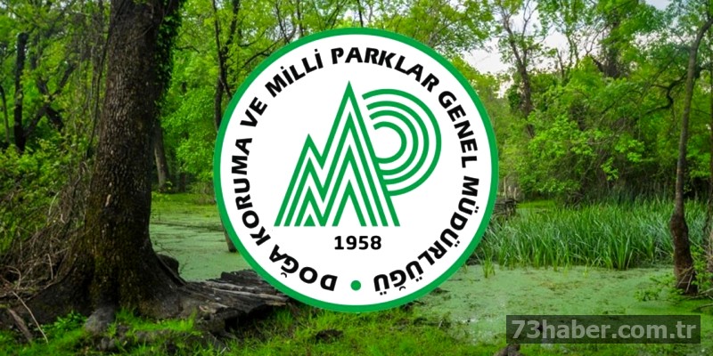 DKMP'den Müjde: 240 Sözleşmeli Personel Alımı!